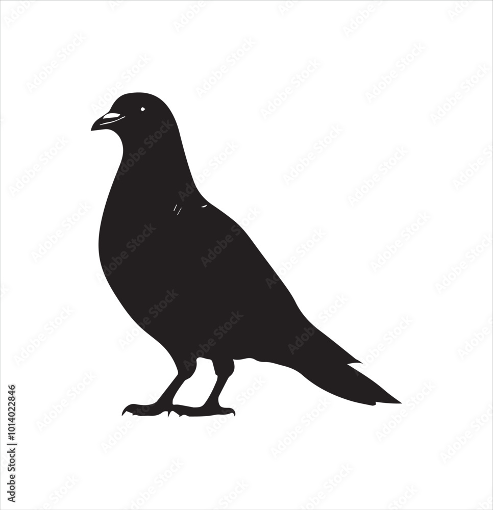 Fototapeta premium pigeon isolated on white background, bird, silhouette, eagle, vector, flying, animal, illustration, wing, nature, black, birds, dove, feather, wings, tattoo, fly, hawk, design, wildlife, flight, freed