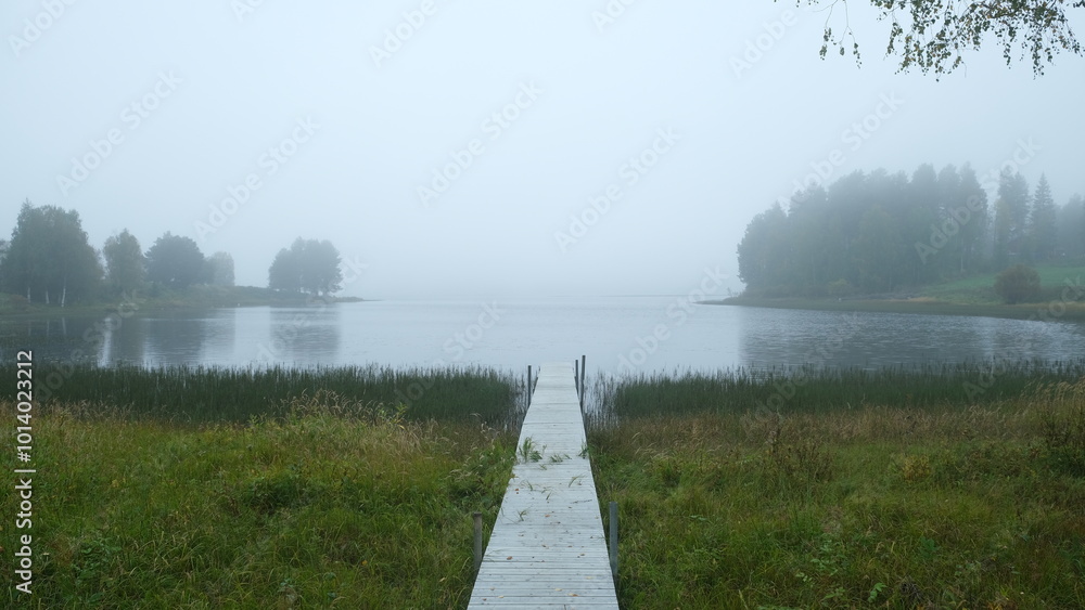 fog on the lake in the morning fog on the lake in the morning