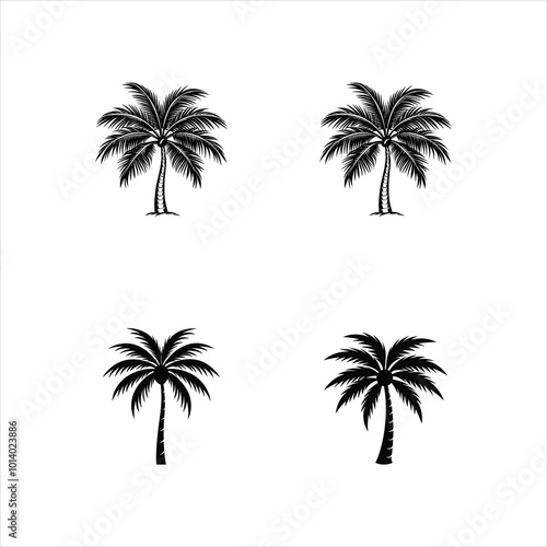 simple coconut palm tree vector