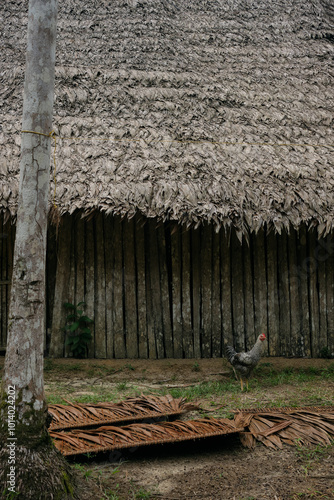 indigenous traditional maloca house in the amazon forest photo