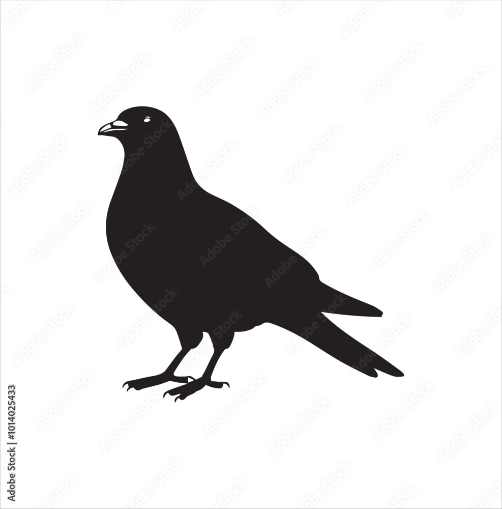Obraz premium pigeon isolated on white background, bird, silhouette, eagle, vector, flying, animal, illustration, wing, nature, black, birds, dove, feather, wings, tattoo, fly, hawk, design, wildlife, flight, freed