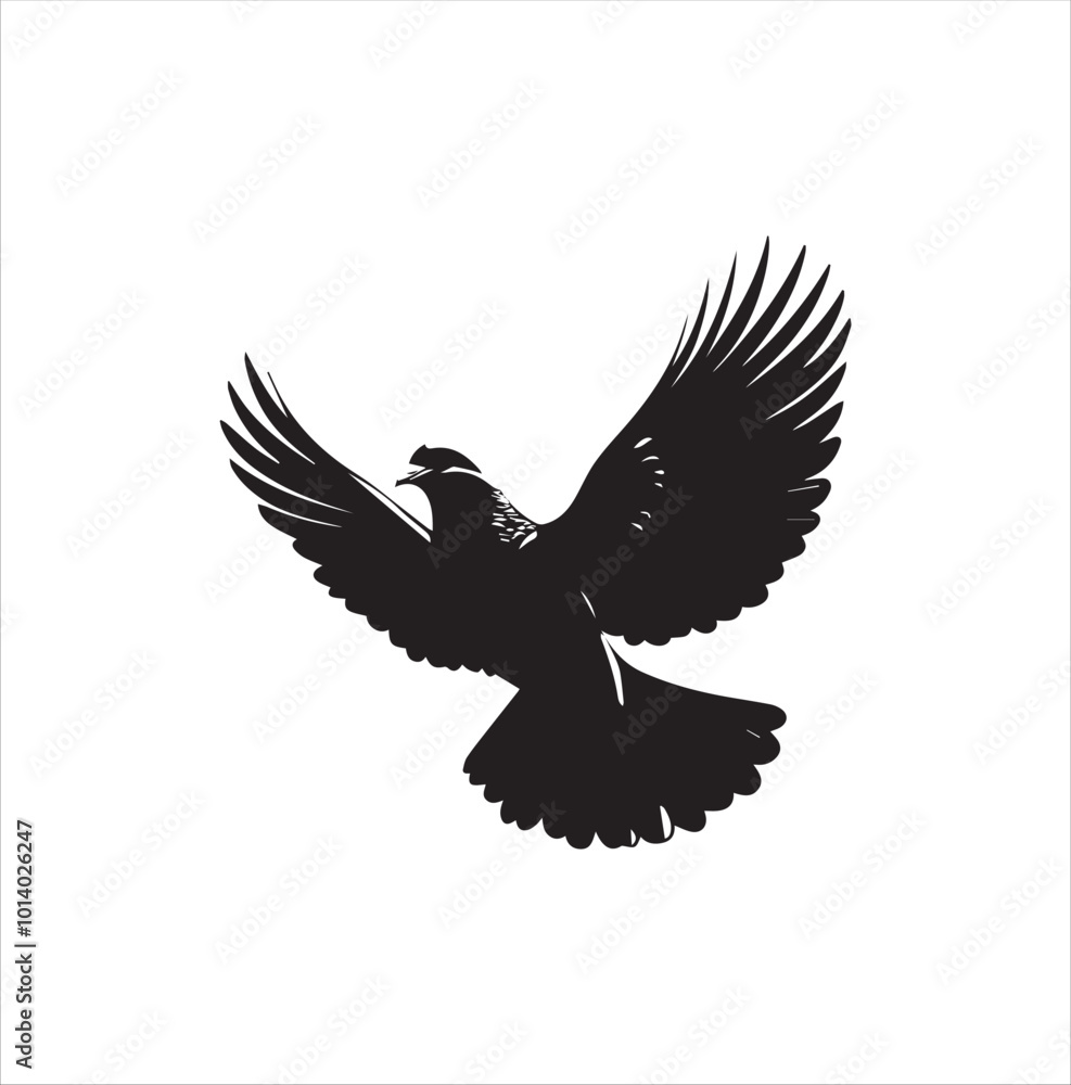 Obraz premium pigeon isolated on white background, bird, silhouette, eagle, vector, flying, animal, illustration, wing, nature, black, birds, dove, feather, wings, tattoo, fly, hawk, design, wildlife, flight, freed