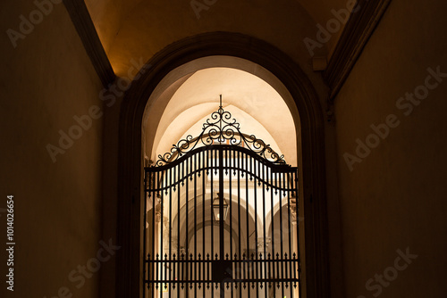 Ornate tall wrought iron gate