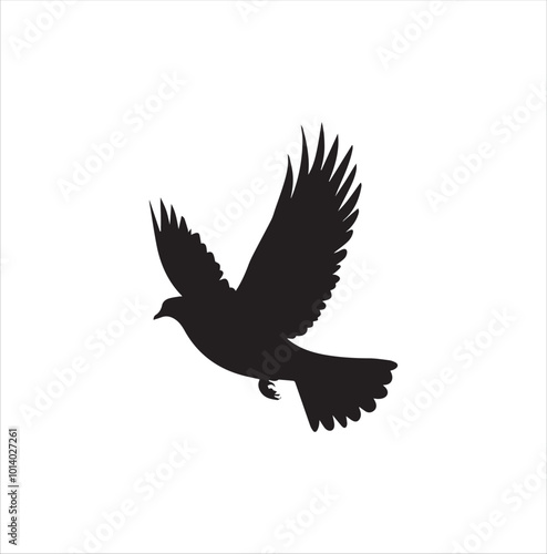 pigeon isolated on white background, bird, silhouette, eagle, vector, flying, animal, illustration, wing, nature, black, birds, dove, feather, wings, tattoo, fly, hawk, design, wildlife, flight, freed