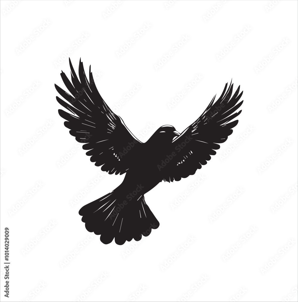 Obraz premium pigeon isolated on white background