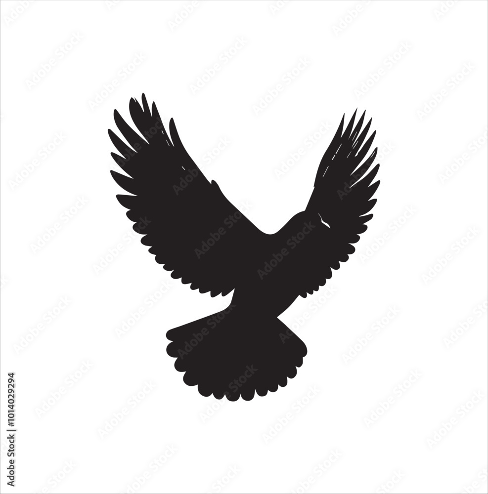 Obraz premium pigeon isolated on white background, bird, silhouette, eagle, vector, flying, animal, illustration, wing, nature, black, birds, dove, feather, wings, tattoo, fly, hawk, design,Art & Illustration