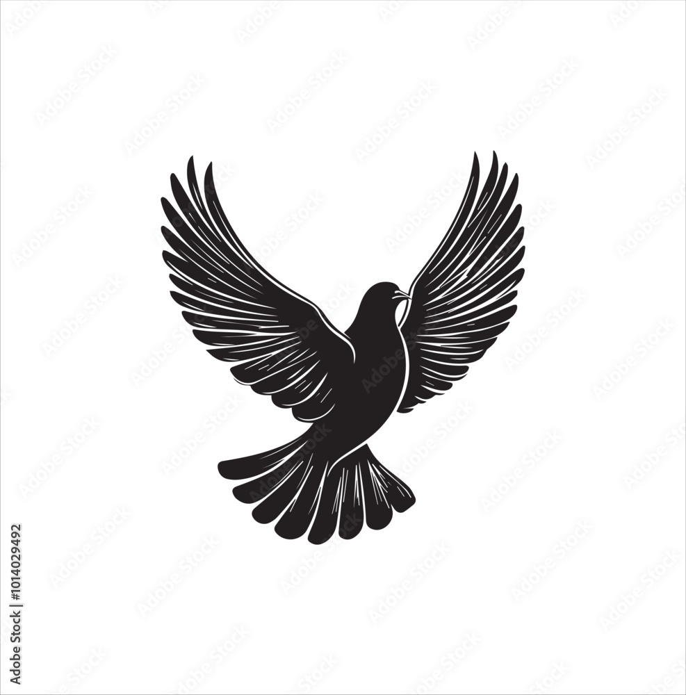 pigeon isolated on white background pigeon isolated on white background