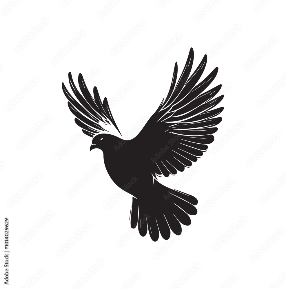 pigeon isolated on white background pigeon isolated on white background