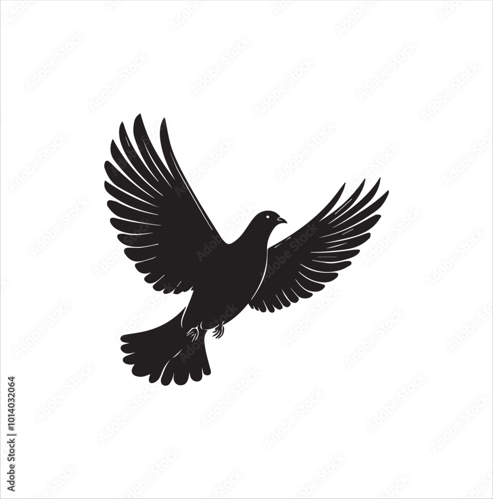 pigeon isolated on white background pigeon isolated on white background
