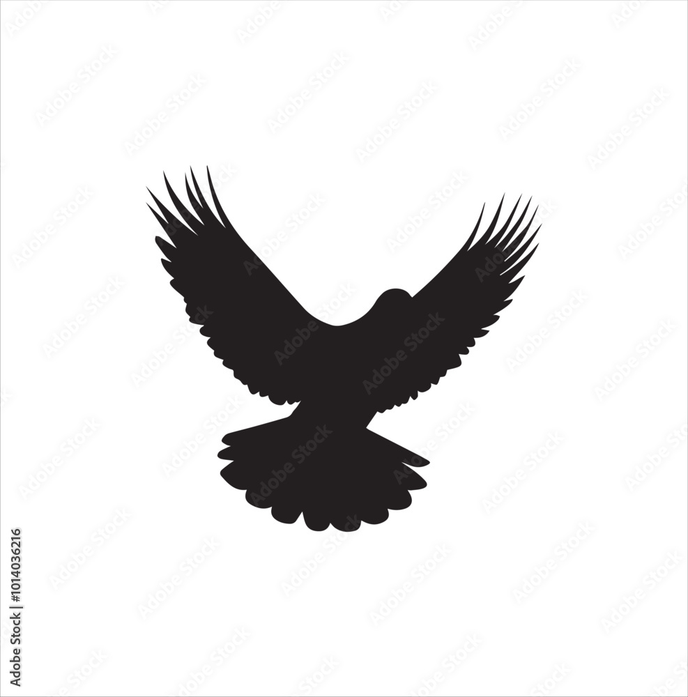 Obraz premium pigeon isolated on white background, bird, silhouette, eagle, vector, flying, animal, illustration, wing, nature, black, birds, dove, feather, wings, tattoo, fly, hawk, design,Art & Illustration