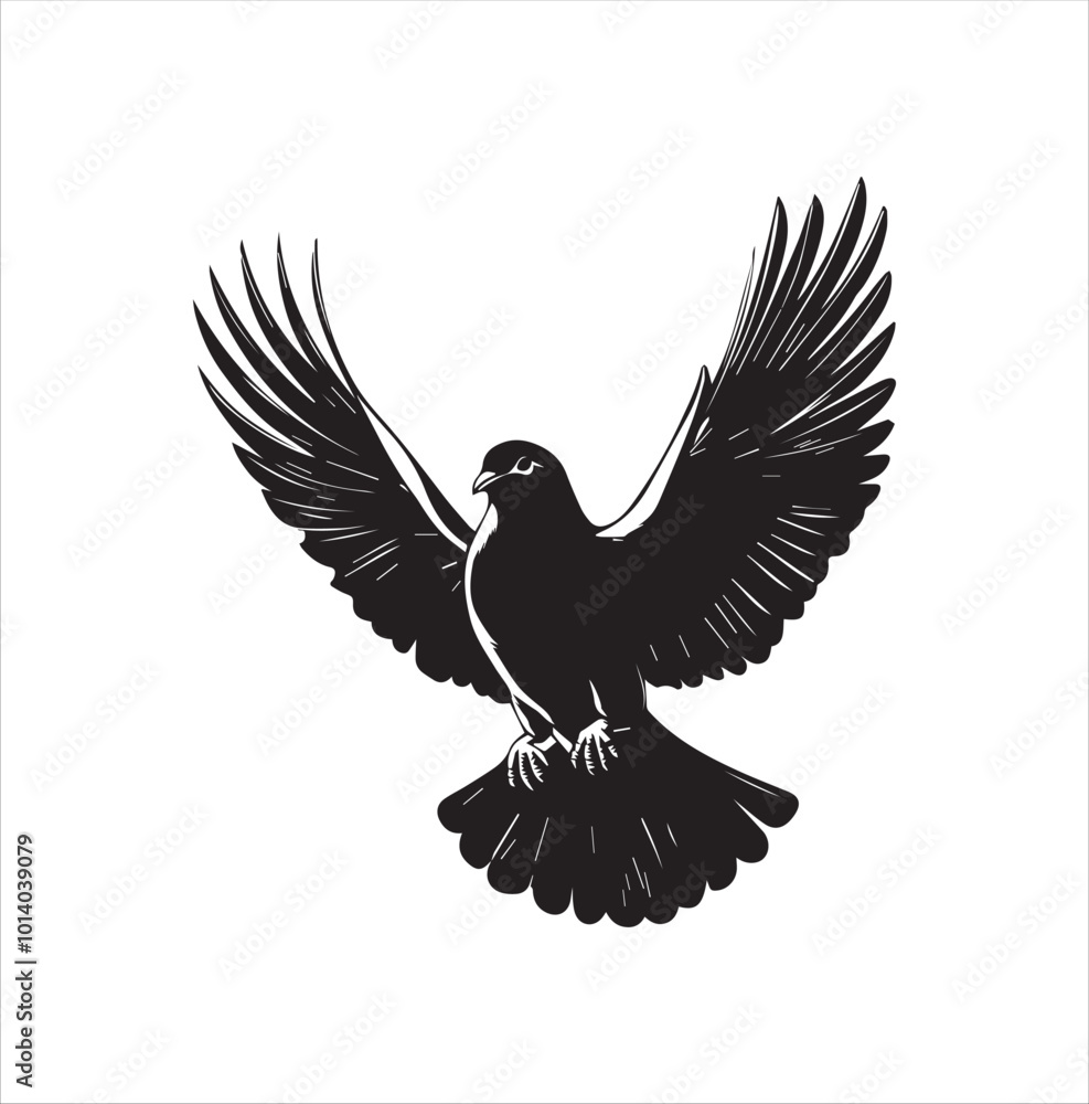 Naklejka premium pigeon isolated on white background