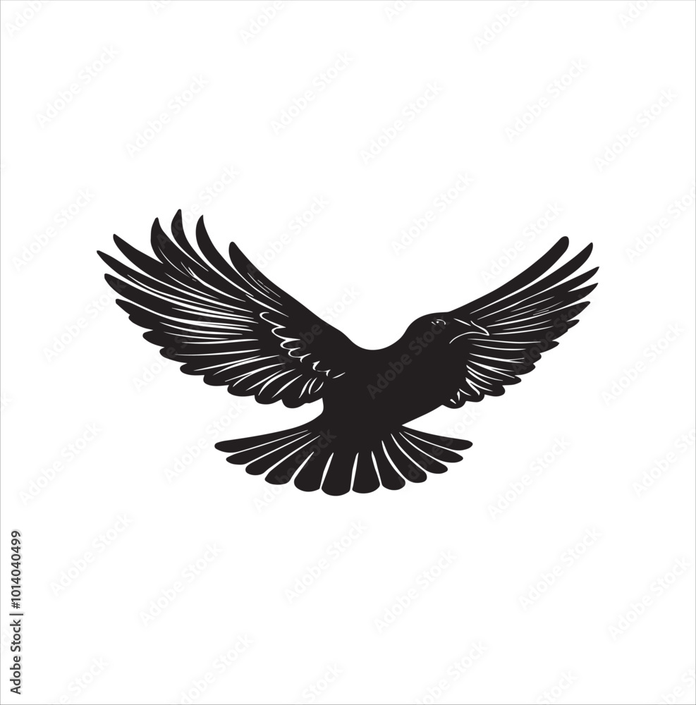pigeon isolated on white background pigeon isolated on white background