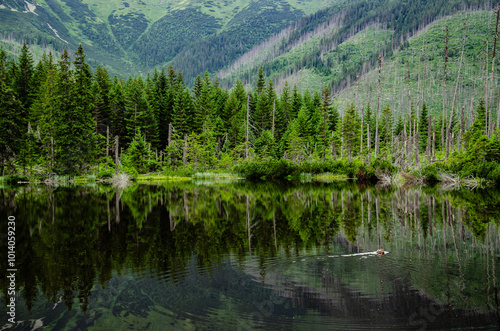 lake in the mountains