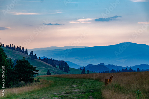 Mountain Peaks Above the Clouds at Dawn photo