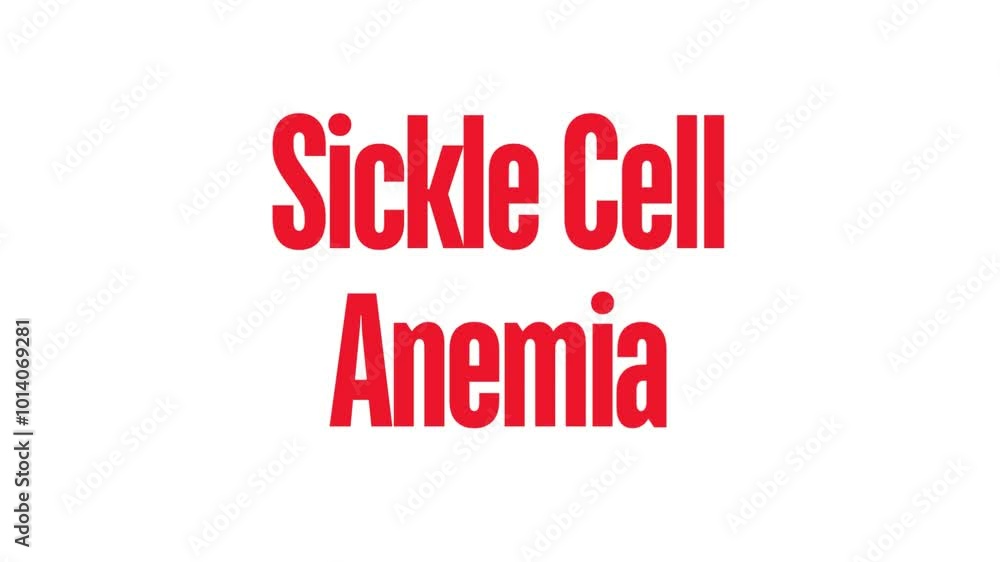 Understanding Sickle Cell Anemia: Illustrated Text Animation on White Background Understanding Sickle Cell Anemia: Illustrated Text Animation on White Background