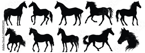 Horse silhouette set vector design big pack of animal illustration and icon