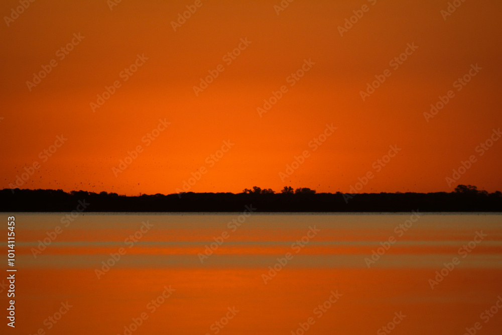 Naklejka premium sunset over the lake