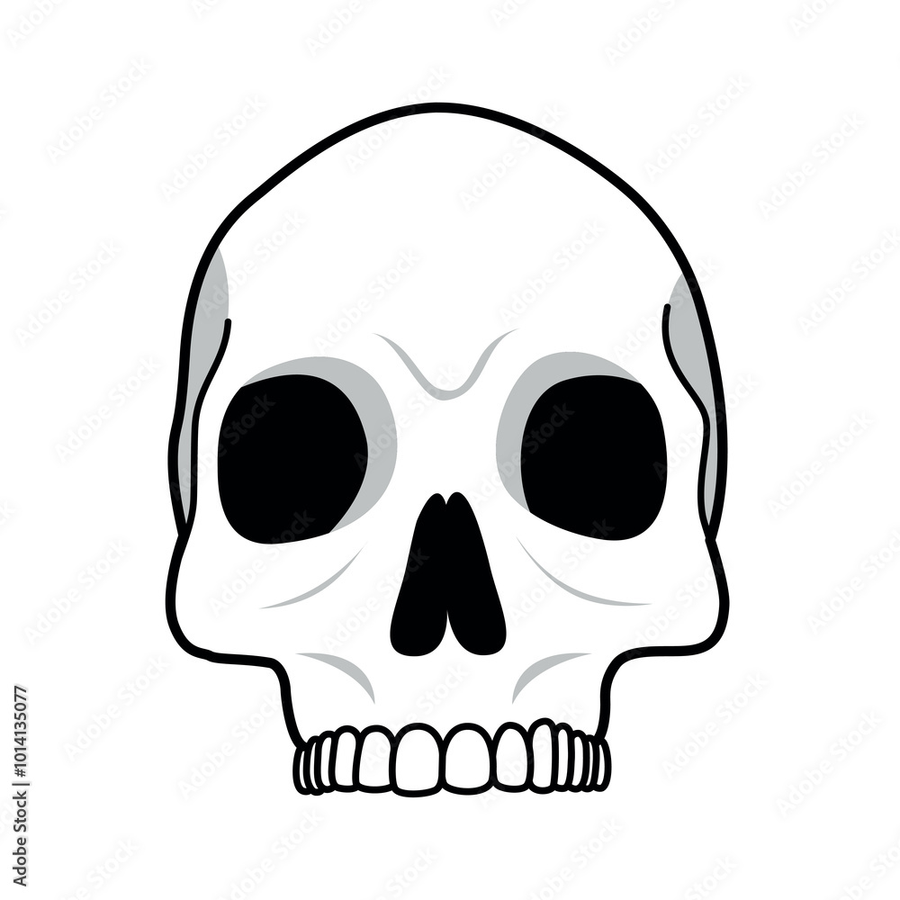 Skull4. Human body, skeleton illustration. Skeleton bone, skeleton
Skull4. Human body, skeleton illustration. Skeleton bone, skeleton