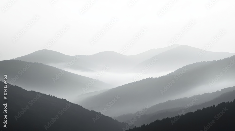 Obraz premium Misty hills shrouded in fog, subtle tree line emerging in the background, serene and minimalist landscape evoking tranquility and solitude
