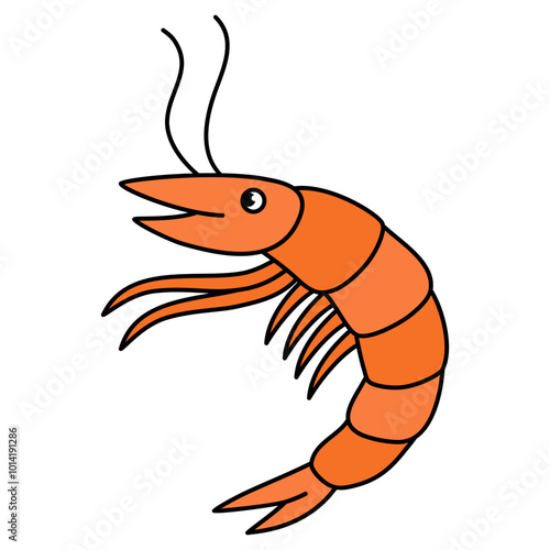 shrimp illustration