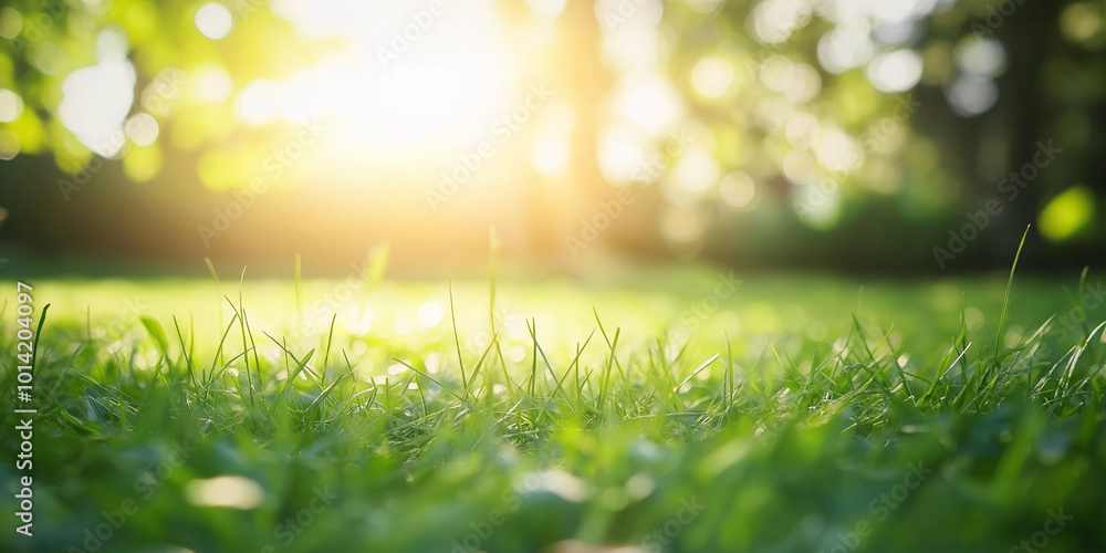 Naklejka premium Generative ai. Lush green grass, warm sunlight, bokeh effect, soft focus, golden hour, nature photography, serene landscape, vibrant colors, shallow depth of field, backlit scene, tranquil atmosphere