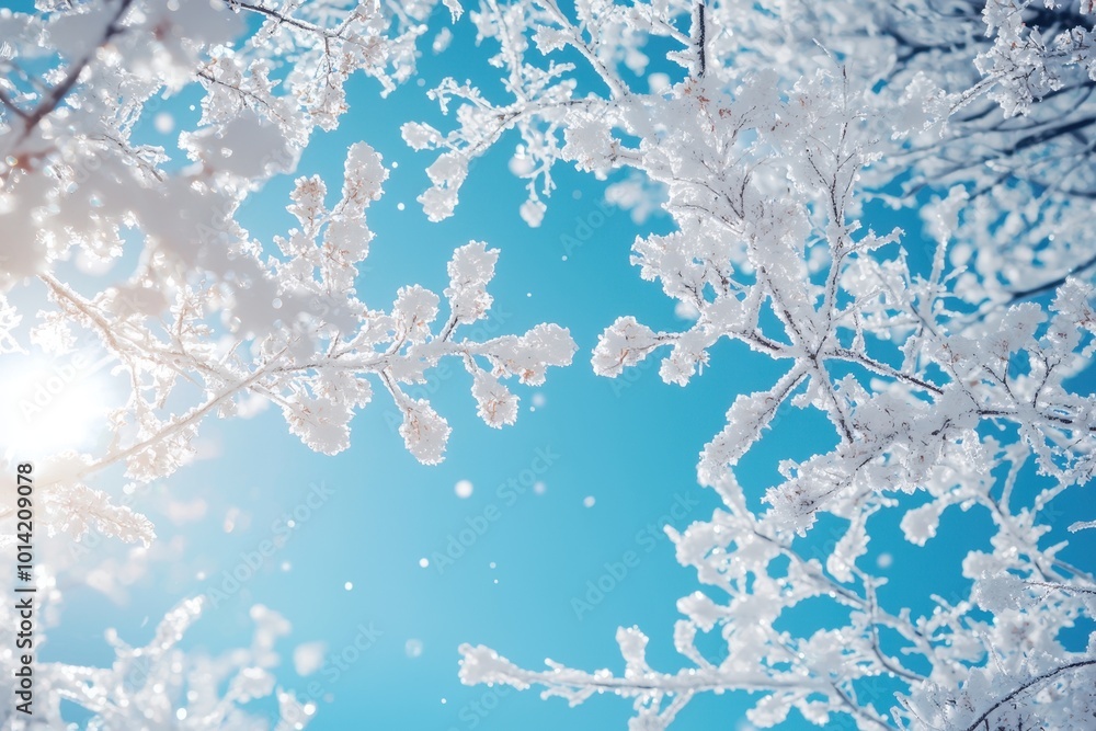 Obraz premium Frost-covered branches under a bright blue sky