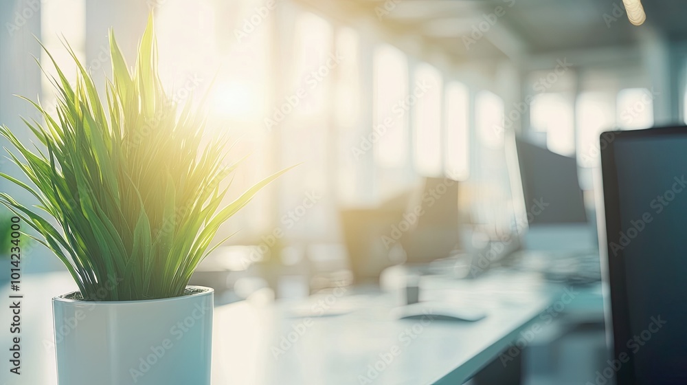 Office scene featuring a potted plant. Office scene featuring a potted plant.