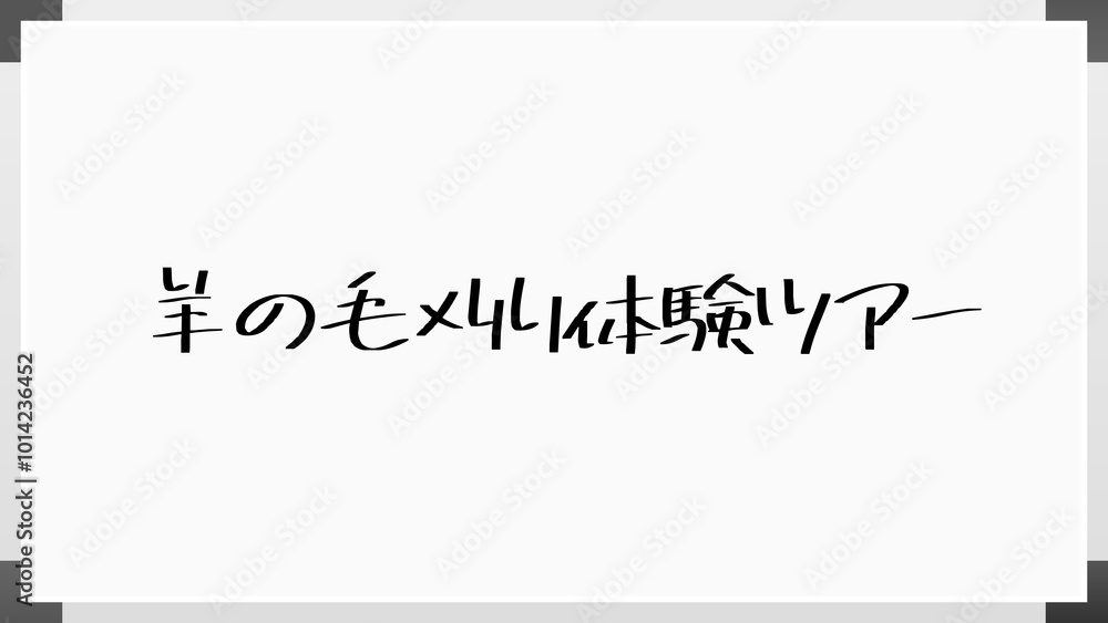 羊の毛刈り体験ツアー ホワイトボード風イラスト 羊の毛刈り体験ツアー ホワイトボード風イラスト