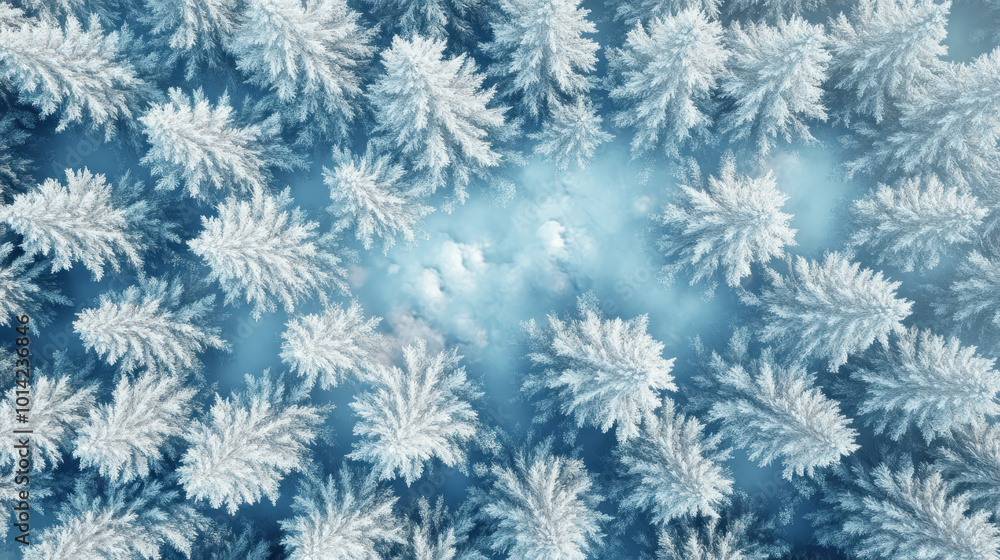 An aerial view showcasing a breathtaking snow-covered pine forest in winter. The serene landscape features vibrant trees enveloped in frost, creating a tranquil atmosphere An aerial view showcasing a breathtaking snow-covered pine forest in winter. The serene landscape features vibrant trees enveloped in frost, creating a tranquil atmosphere