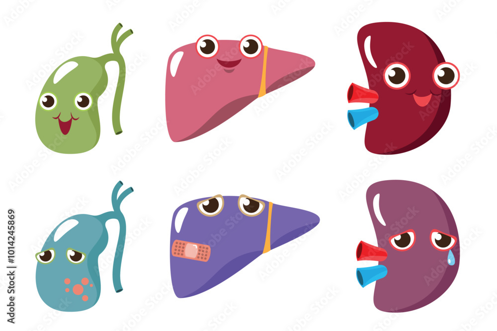 cute cartoon vector, illustration emotion gallbladder, liver and kidney.