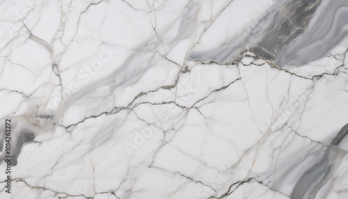 White marble with grey veins