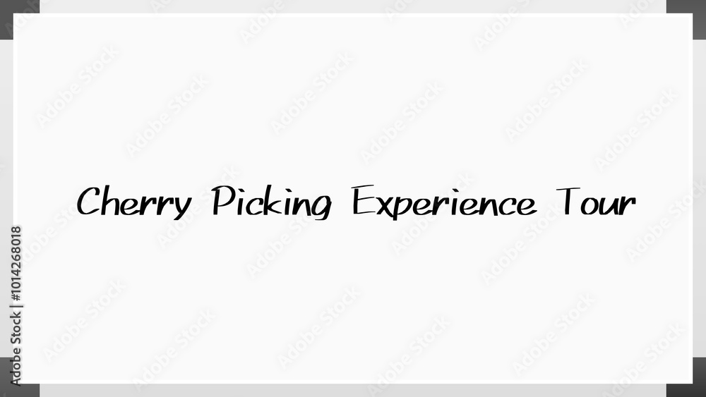 Cherry Picking Experience Tour のホワイトボード風イラスト Cherry Picking Experience Tour のホワイトボード風イラスト
