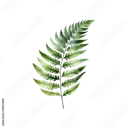 Fern frond with green leaves on a white background. Ideal for nature themed designs, botanical illustrations, or environmental concepts. Generative AI