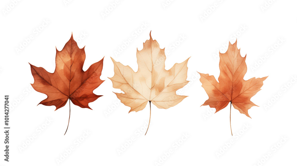 Autumn leaf branches are painted in watercolor. Ideal for fall themed designs, seasonal greeting cards, stationery, wedding invitations, and botanical illustrations. Generative AI Autumn leaf branches are painted in watercolor. Ideal for fall themed designs, seasonal greeting cards, stationery, wedding invitations, and botanical illustrations. Generative AI