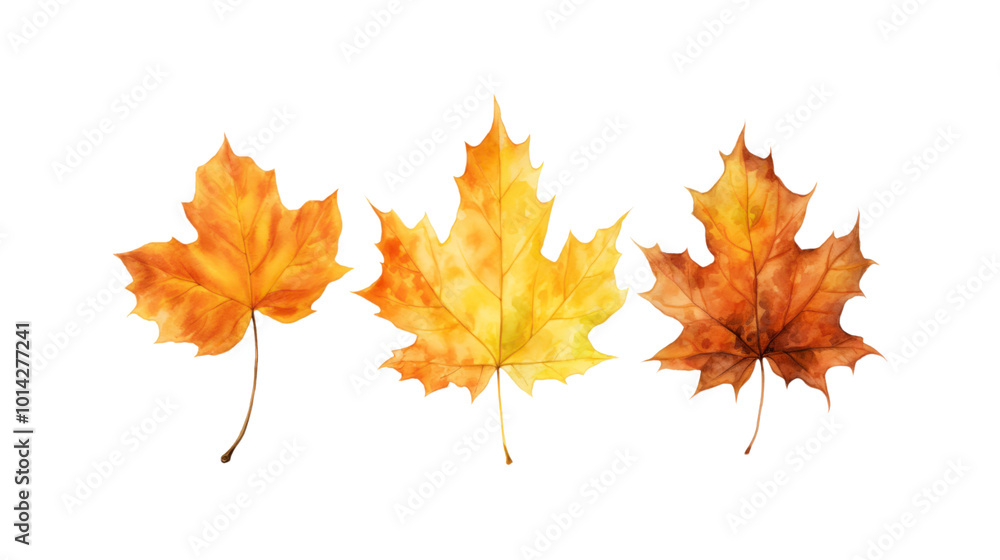 Autumn leaf branches are painted in watercolor. Ideal for fall themed designs, seasonal greeting cards, stationery, wedding invitations, and botanical illustrations. Generative AI Autumn leaf branches are painted in watercolor. Ideal for fall themed designs, seasonal greeting cards, stationery, wedding invitations, and botanical illustrations. Generative AI