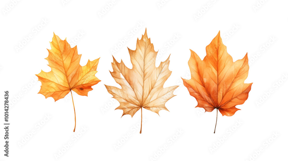 Autumn leaf branches are painted in watercolor. Ideal for fall themed designs, seasonal greeting cards, stationery, wedding invitations, and botanical illustrations. Generative AI Autumn leaf branches are painted in watercolor. Ideal for fall themed designs, seasonal greeting cards, stationery, wedding invitations, and botanical illustrations. Generative AI
