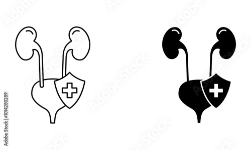Pair of kidneys with bladder and medical shield symbol icon vector