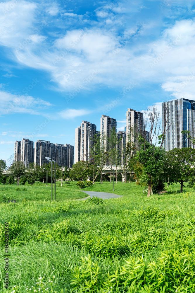 Fototapeta premium city park with modern building background in shanghai