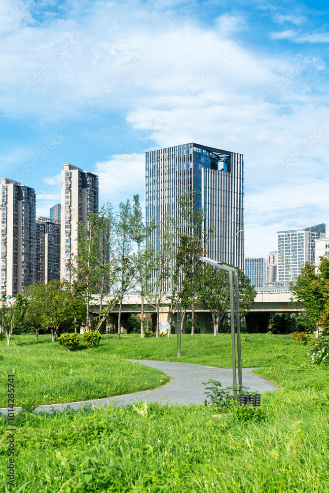 Obraz premium city park with modern building background in shanghai