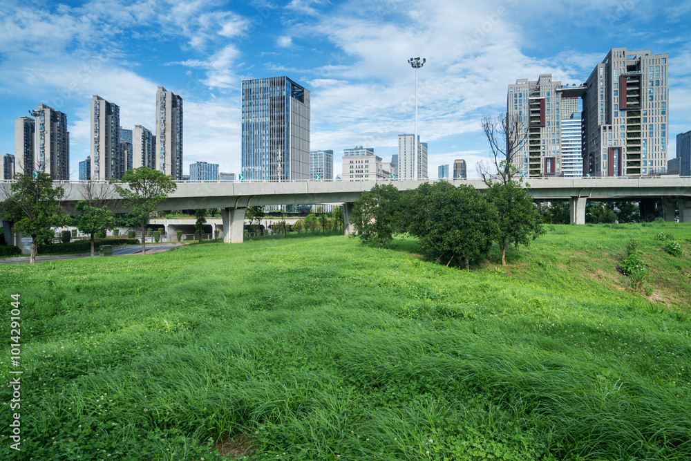 city park with modern building background in shanghai city park with modern building background in shanghai