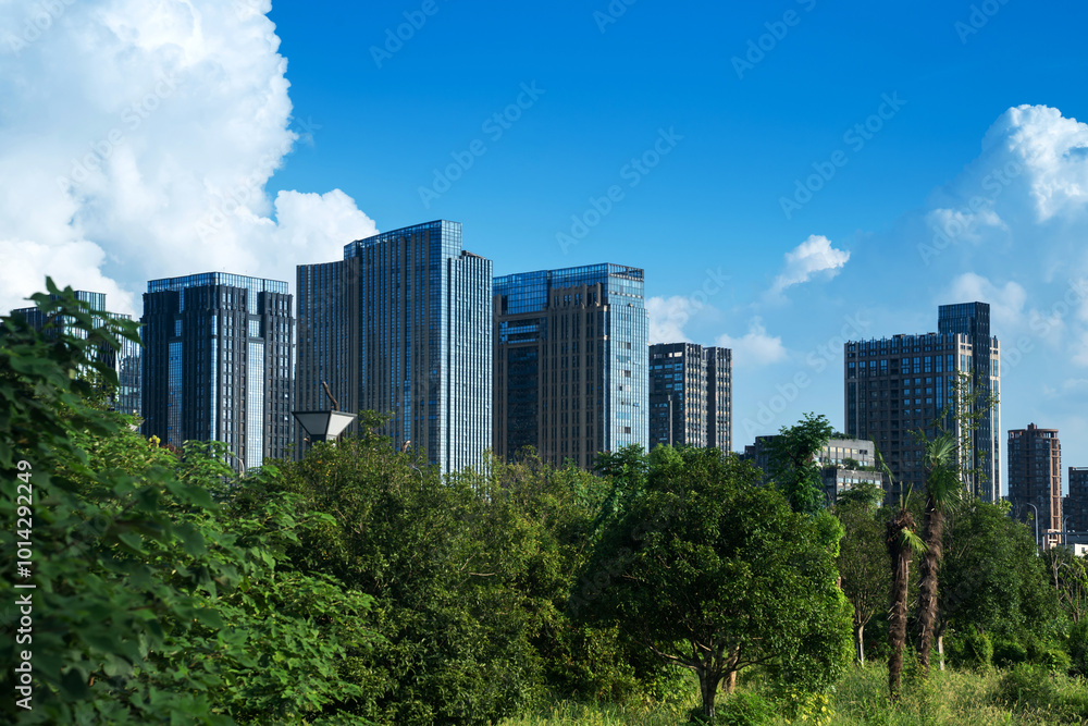 city park with modern building background in shanghai city park with modern building background in shanghai
