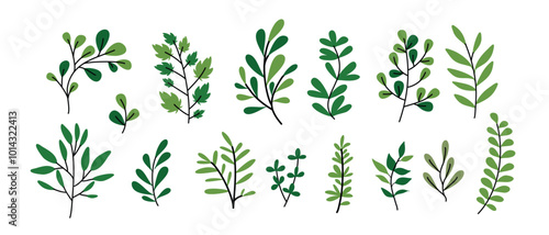 Leaf vector set,  elements for design , Leaves  on White Background