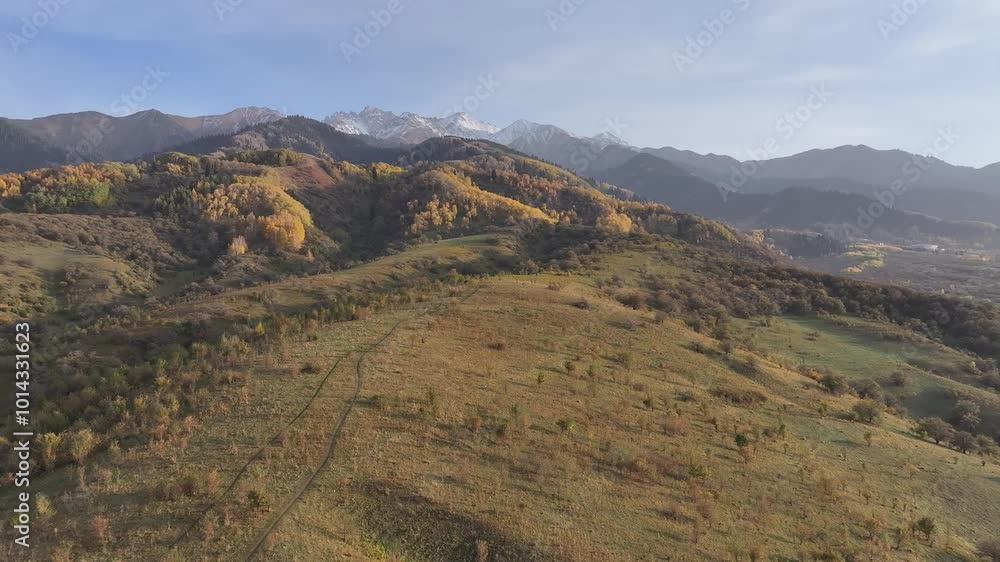Picturesque slopes of the Trans-Ili Alatau mountains covered with yellow trees and fir trees in the south-east of Kazakhstan on an autumn evening Picturesque slopes of the Trans-Ili Alatau mountains covered with yellow trees and fir trees in the south-east of Kazakhstan on an autumn evening
