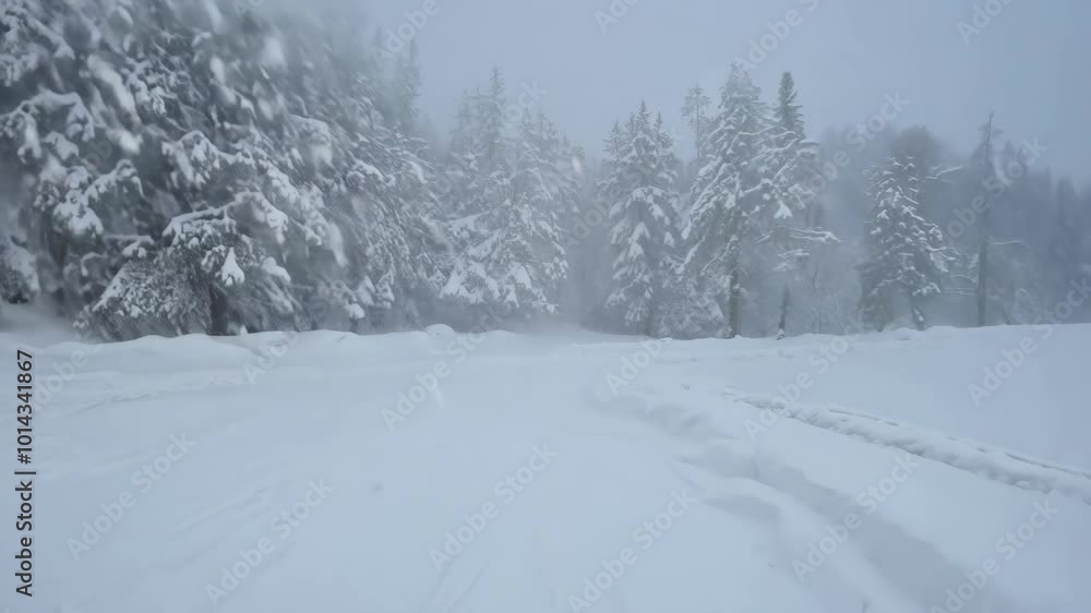 A vast snowy landscape with snow-covered trees lining the scene blanketed by heavy snowfall. The visibility is low and the atmosphere is cold and harsh evoking winter’s raw beauty. A vast snowy landscape with snow-covered trees lining the scene blanketed by heavy snowfall. The visibility is low and the atmosphere is cold and harsh evoking winter’s raw beauty.