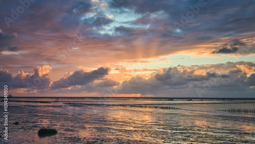 Nordesee - Deich - Wiese - Weide - Natur - Landschaft - Küste - Ebbe - Flut - Gezeiten - Landschaft - Hintergrund - Deutschland - Wattenmeer - Sonnenuntergang - Sunset photo