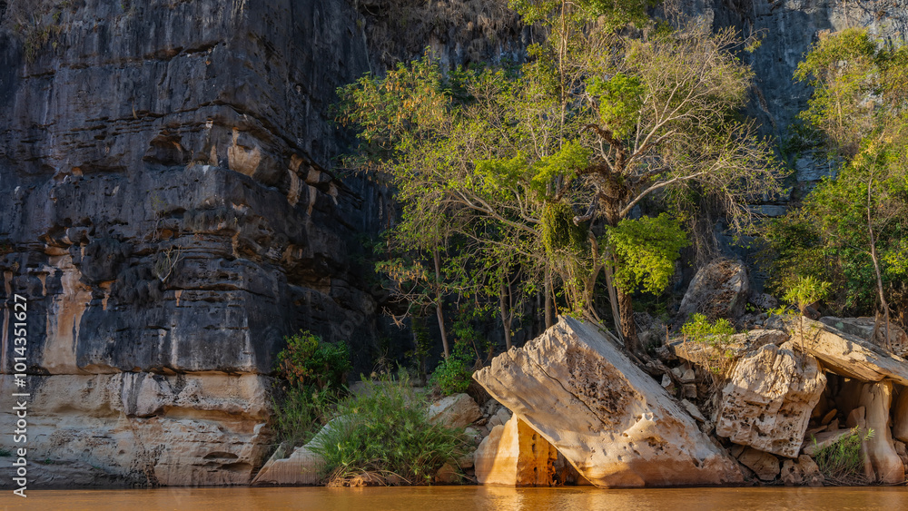 Obraz premium A pile of bizarre boulders, sheer limestone cliffs near the shore of an exotic African river. Green vegetation on the rocks. Calm red-brown water. Madagascar. Manambolo river.
