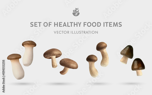 A Set of Healthy Mushroom Food 3D Vector Items: King Oyster Mushroom, Shiitake, Matsutake, Straw Mushroom