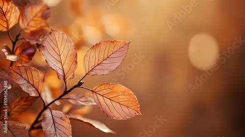 Brown plant leaves in autumn season, brown background