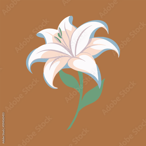Exotic Tiger Lily, Known for its striking orange petals adorned with dark spots, the tiger lily's unique appearance captures attention, vector art illustration