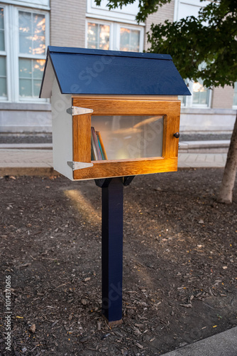 Charming Little Free Library in Urban Neighborhood